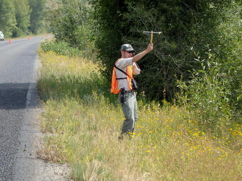 GDMBR: Park Ranger with a Radio Signal Tracking Antenna.